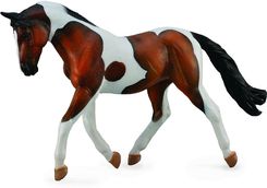 Zdjęcie Collecta Konie Koń Rasy Pinto Maści Gniadej (88691) - Rzeszów
