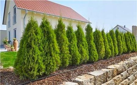 Gardena Micro-Drip-System - linia kroplująca 13 mm (1/2