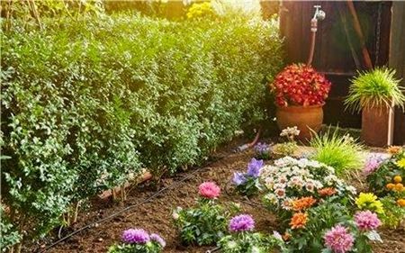 Gardena Micro-Drip-System - linia kroplująca 13 mm (1/2