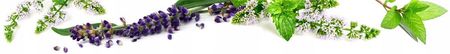 Aboca Aloe Vera biogel 100ml - zdjęcie 2