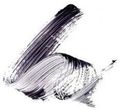 IsaDora Build Up Mascara Extra Volume Tusz do rzęs 12ml
