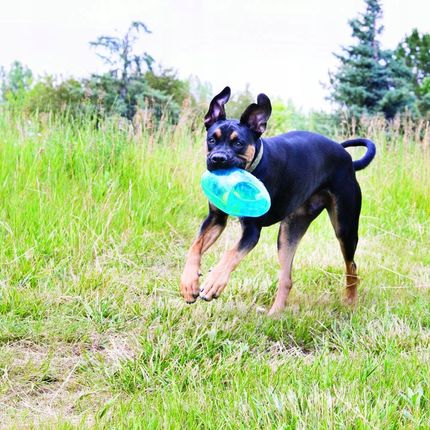 kong Jumbler Ball Large/X-Large TMB1E - zdjęcie 3