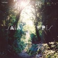 Savaging Spires (CD)