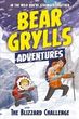 Bear Grylls Adventure 1: Blizzard Challenge