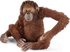 Zdjęcie Schleich Orangutan Samica 14775 - Wyszków