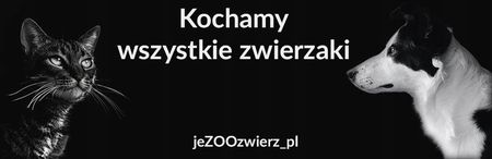 Zolux Osso Di Prosciutto Medium Kość Z Szynki Parmeńskiej 170G - zdjęcie 3