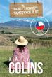 Biuro Podróży Samotnych Serc Kierunek Chile - Katy Colins