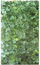 Zdjęcie Mata osłonowa liście Edera 100 x 300 cm 0588E - Gorzów Wielkopolski