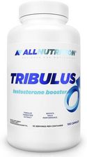 Zdjęcie Allnutrition Tribulus Testosterone Booster 100 Kapsułek - Brwinów