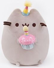 Zdjęcie Kot Pusheen Z Tortem Urodzinowym (4051536) - Wrocław