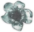 Elodie Details Kocyk Bambusowy Embedding Bloom Petrol