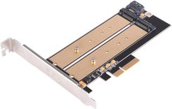 Zdjęcie SilverStone PCIe x4 - 2xM.2 (SSTECM22) - Olsztyn