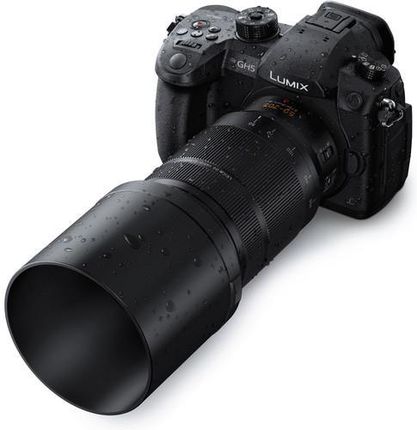 Panasonic Leica DG Vario-Elmarit 50-200mm f/2.8-4.0 Asph Power O.I.S. (Micro 4/3) - zdjęcie 5