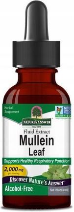 Nature's Answer Mullein Dziewanna drobnokwiatowa bez alkoholu 30ml - zdjęcie 3