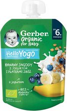 Zdjęcie Gerber Organic Deserek W Tubce Banany Jagody Z Jogurtem I Płatkami Zbóż dla niemowląt po 6 miesiącu 80g - Puławy