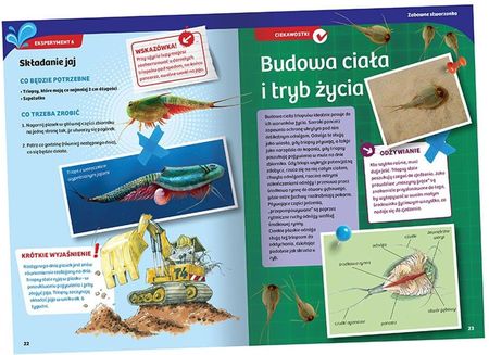 Piatnik Hodowla Triopsów - zdjęcie 3
