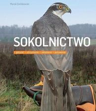 Zdjęcie Sokolnictwo - Szczecin
