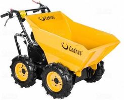 Zdjęcie Cedrus Transporter Tr01 - Wolsztyn