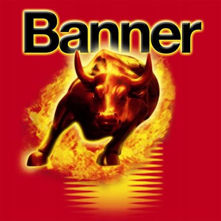 AKUMULATOR BANNER RUNNING BULL AGM 105AH 950A 60501 - zdjęcie 2