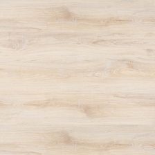 Zdjęcie Classen Dąb Lawrence 51287 Sun - Olsztyn