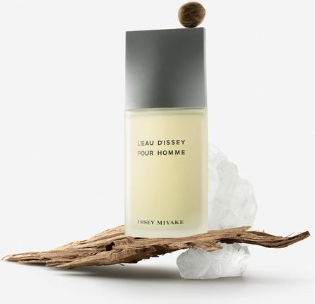 Issey Miyake L Eau D Issey Pour Homme Woda Toaletowa 75ml - zdjęcie 2