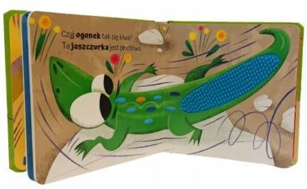 Łąka. Dotykam, poznaję - zdjęcie 3