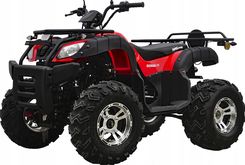 Zdjęcie ATV BASHAN 200 WTRYSK EFI MOC QUAD DO REJESTRACJI - Babimost
