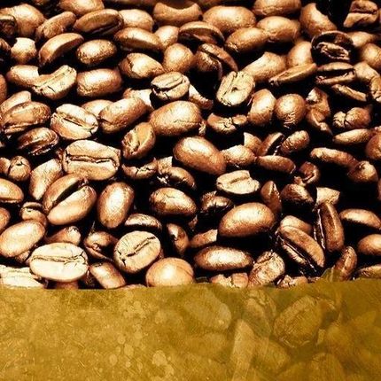 Starbucks Kawa Mielona Blond Veranda Blend 200G - zdjęcie 2