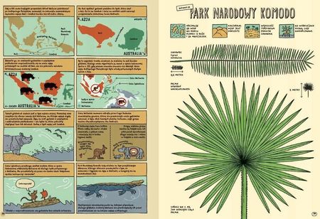 Którędy do Yellowstone? Dzika podróż po parkach narodowych - zdjęcie 3