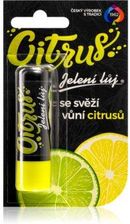 Zdjęcie Regina Citrus 7 Days balsam do ust cytrusowoc cytrusowy 4,5g - Chorzów