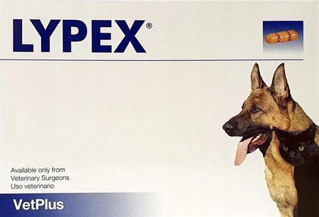 Vetplus Lypex 60 Kapsułek - zdjęcie 2