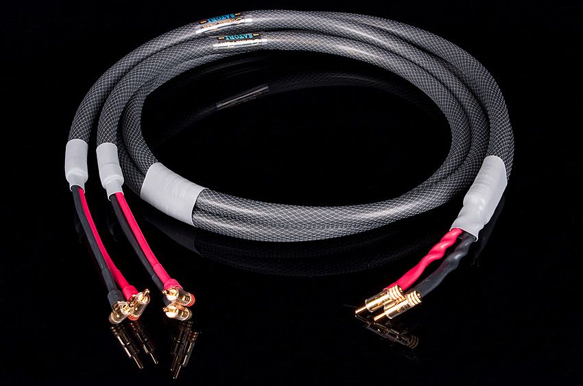 Zdjęcie Acoustic zen Satori Shotgun S-2080 Bi-wire - Dobra