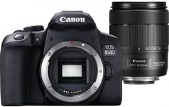 Zdjęcie Canon EOS 850D + EF-S 18-135mm F3.5-5.6 IS USM - Gorzów Wielkopolski