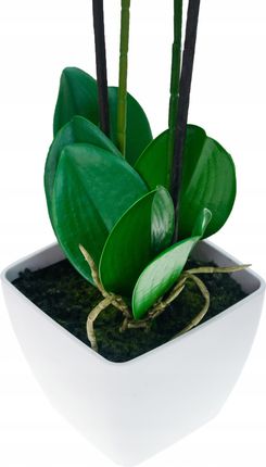 Storczyk W Doniczce Gumowany Dwupędy Jak Żywy 55Cm - zdjęcie 4