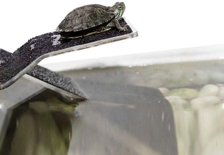 Repti Zoo Wyspa Dla Żółwi M - zdjęcie 3