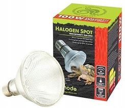 Zdjęcie Komodo Halogen Spot Screw żarówka grzejna 75W - Oświęcim