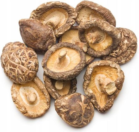 Shiitake 100% Twardnik japoński This is Bio - zdjęcie 6