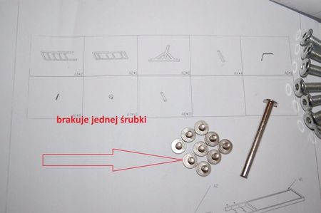 huśtawka trening psa tor przeszkód Relaxdays - zdjęcie 3
