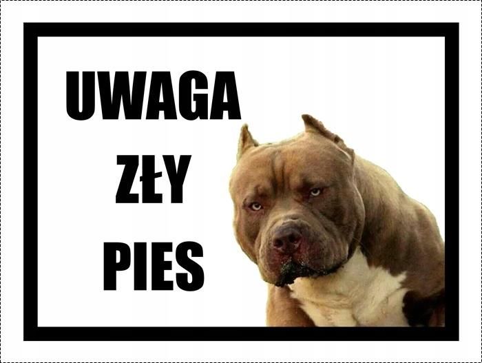 Tabliczka Uwaga Z Y Pies Pitbull Wz R Ceny I Opinie Ceneo Pl