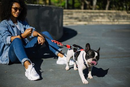Zee Dog Smycz dla psa czarno- czerwona Ruff L - zdjęcie 4
