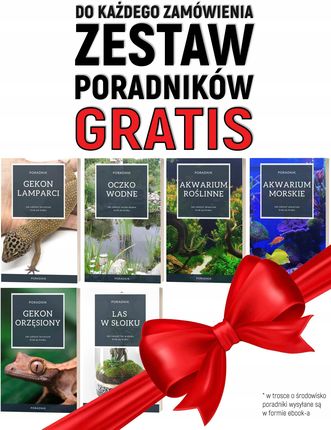 UNIWERSALNA POMPA MAŁA CHICHA 300L/H SPRAWDŹ HSBAOHSB333 - zdjęcie 3
