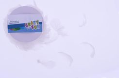 Zdjęcie Craft With Fun Ozdoba Dekoracyjna Piórka Na Zylce 10M Biel Szp 12/48 - Małomice