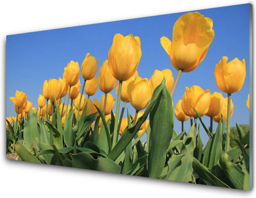 Tulup Panel Szklany Tulipany Kwiaty Roślina 100x50cm PLPKNN53986291