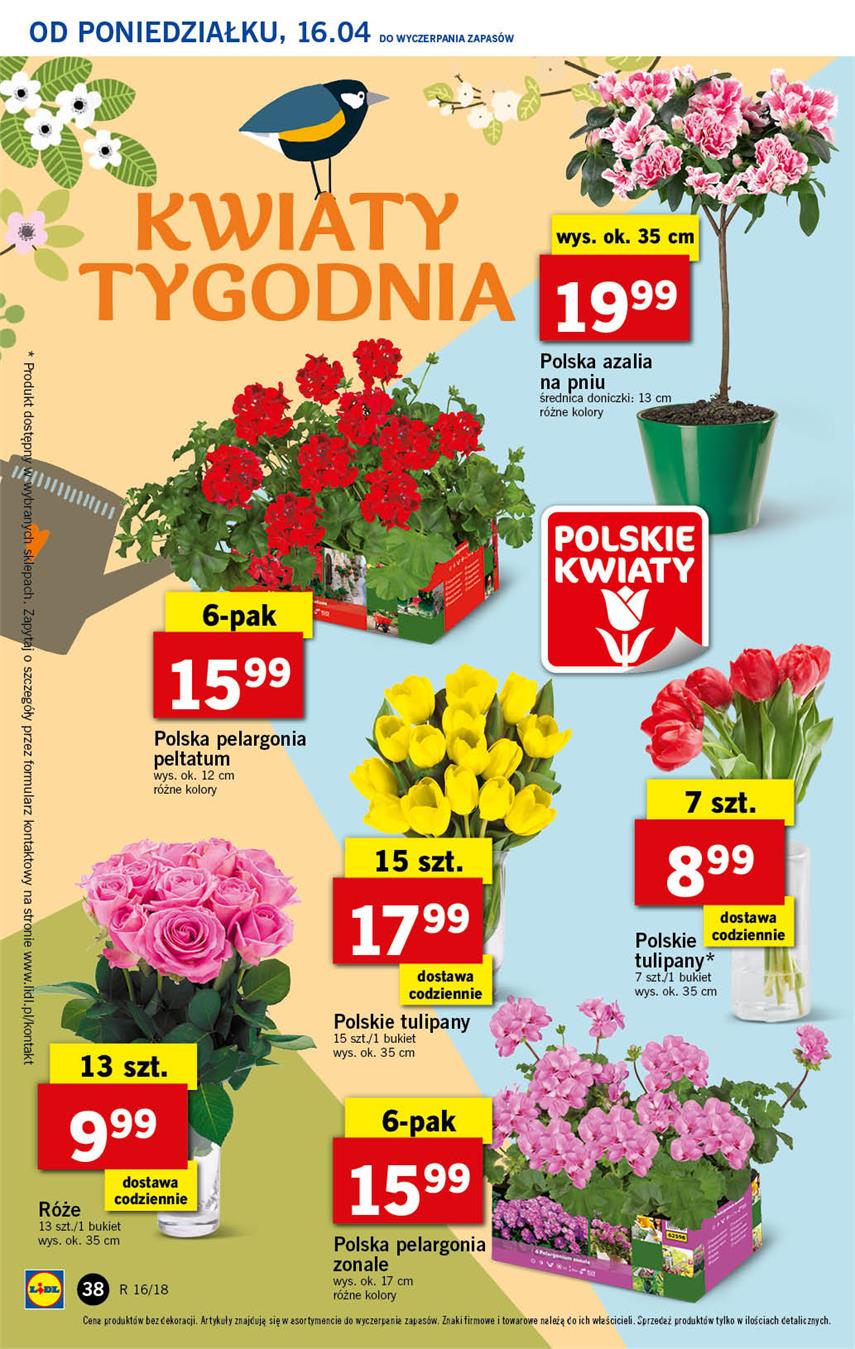 Gazetka Lidl Polska Sp. z o.o. nr 31 od 2018-04-16 do 2018-04-18