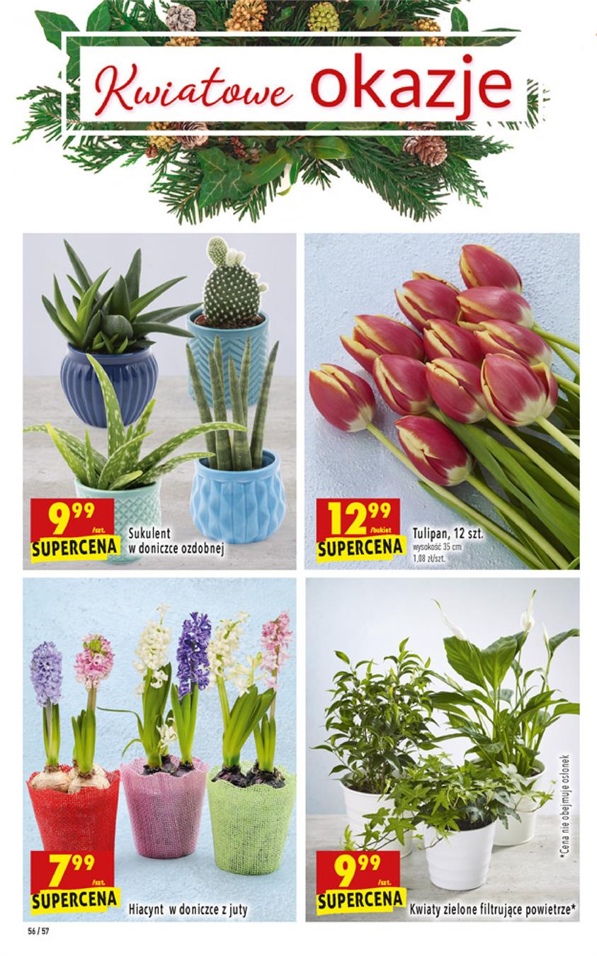 Gazetka Jeronimo Martins Polska SA nr 56 od 2019-01-07 do 2019-01-12