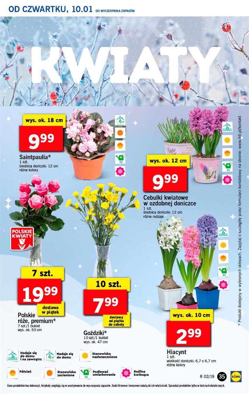 Gazetka Lidl Polska Sp. z o.o. nr 35 od 2019-01-10 do 2019-01-12