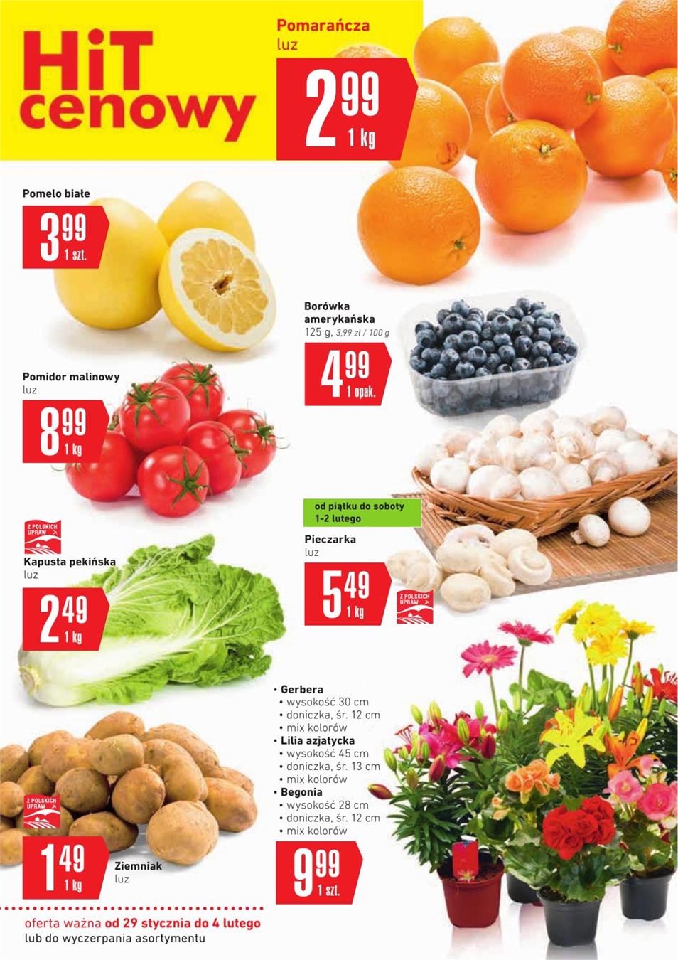 Gazetka SCA PR Polska Sp. z o.o. nr 19 od 2019-01-29 do 2019-02-04