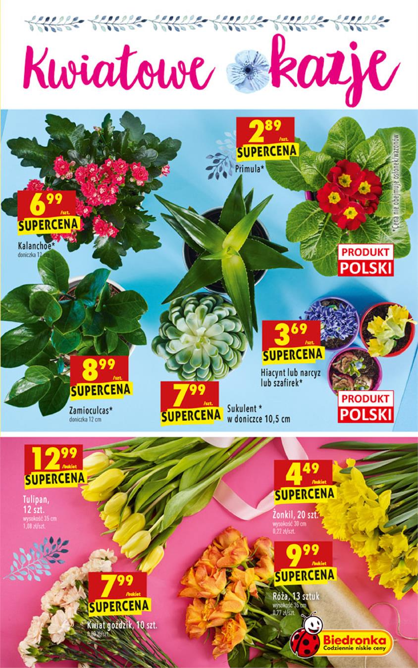 Gazetka Jeronimo Martins Polska SA nr 63 od 2019-01-28 do 2019-02-03