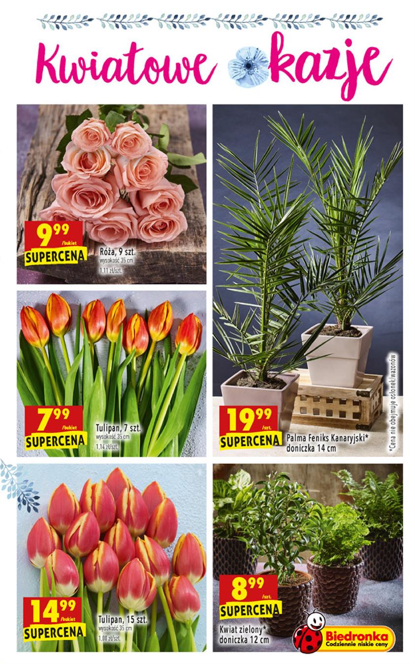 Gazetka Jeronimo Martins Polska SA nr 63 od 2019-01-31 do 2019-02-06