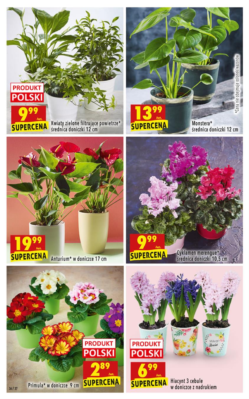 Gazetka Jeronimo Martins Polska SA nr 36 od 2019-02-07 do 2019-02-13